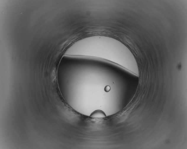 X0000091450478200708161051