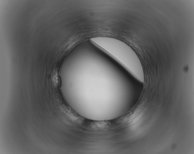 X0000091450479200708161051