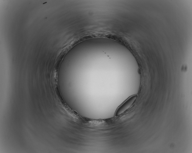 X0000091450480200708161051