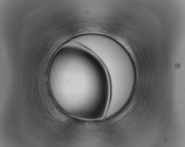 X0000091450481200708161050