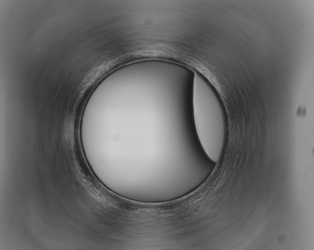 X0000091450482200708161050