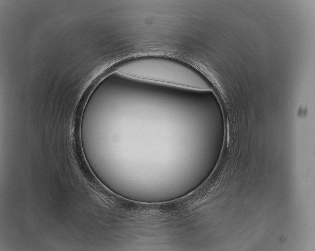 X0000091450483200708161050