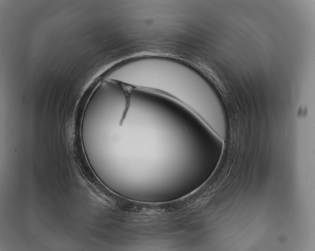 X0000091450484200708161050