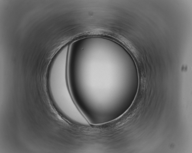 X0000091450485200708161050