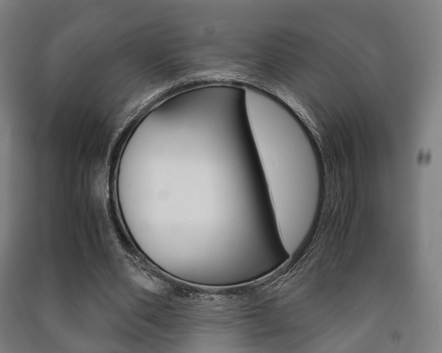 X0000091450486200708161050