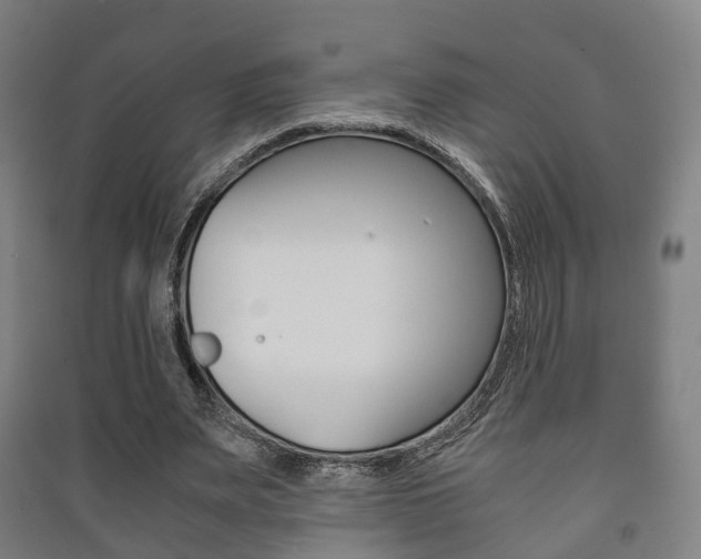 X0000091450487200708161050