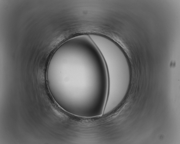 X0000091450489200708161050