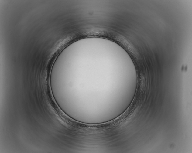 X0000091450490200708161050