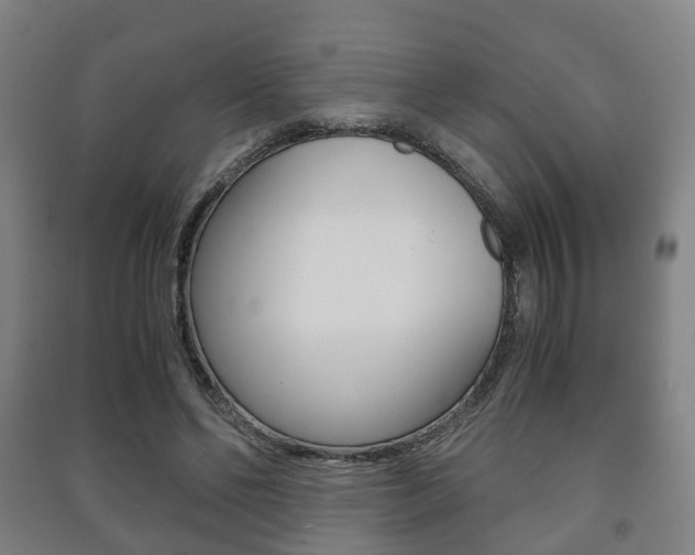 X0000091450494200708161050