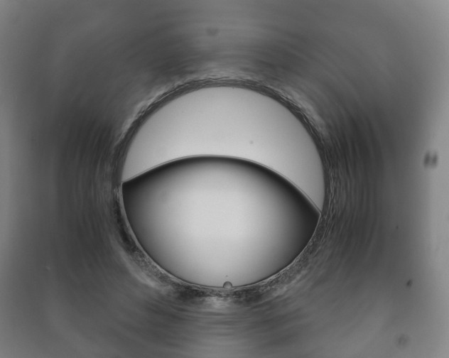 X0000091450496200708161050