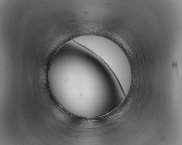 X0000091450497200708161050