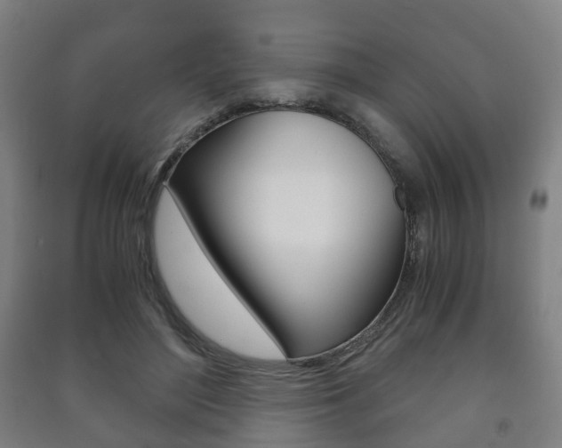 X0000091450500200708161050