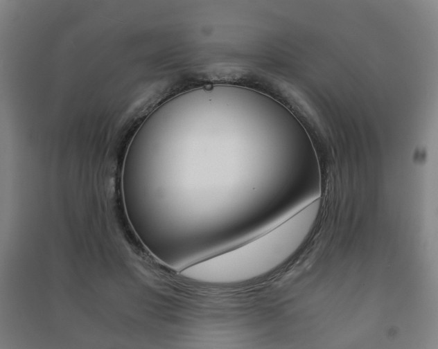 X0000091450501200708161050