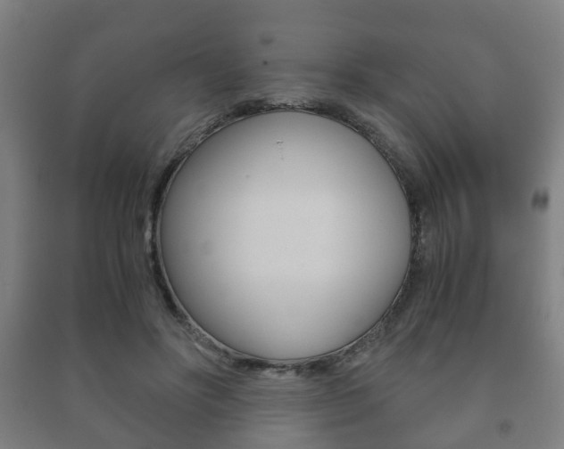 X0000091450502200708161050