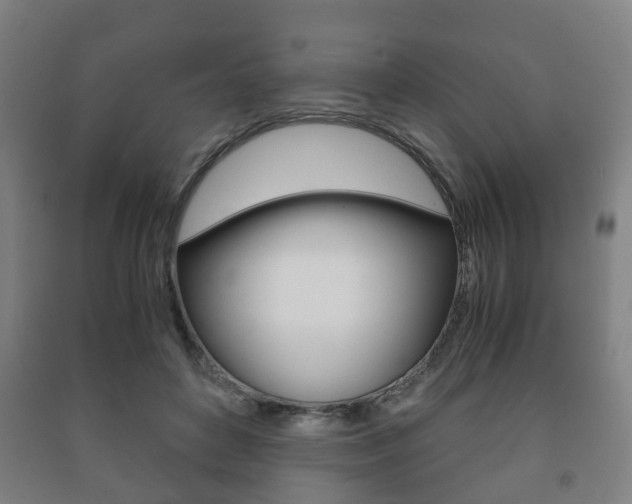 X0000091450504200708161050