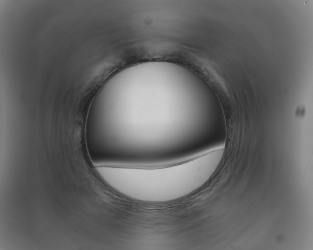 X0000091450505200708161050