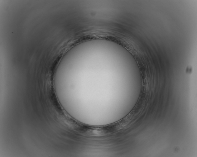 X0000091450506200708161050