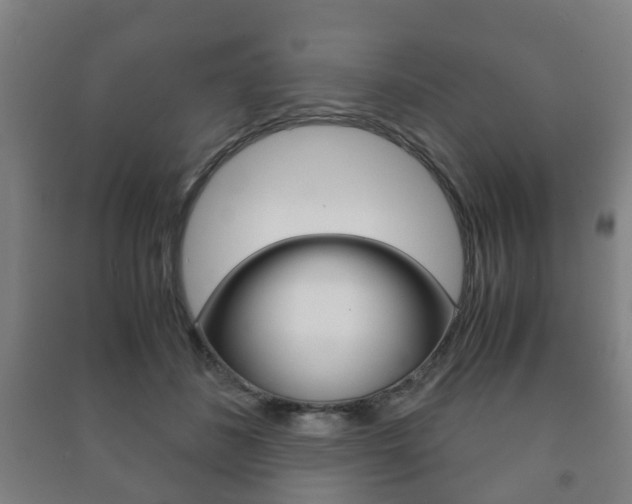 X0000091450508200708161050