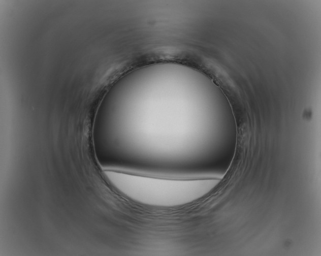 X0000091450509200708161050