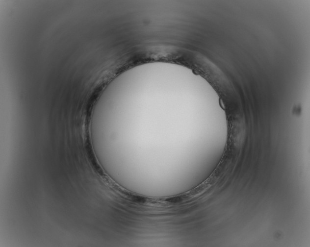 X0000091450510200708161050