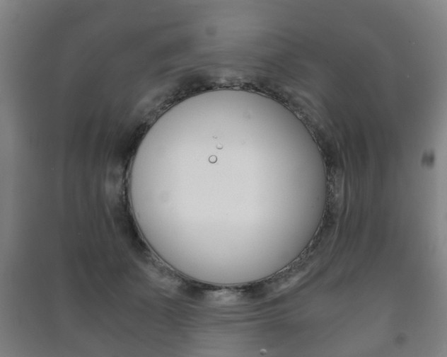 X0000091450511200708161050