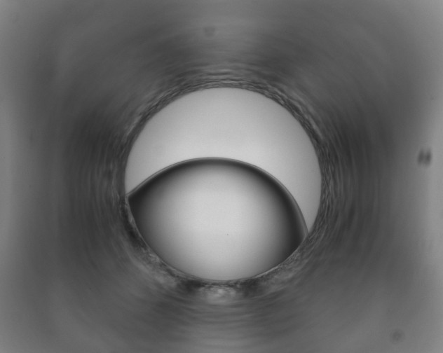 X0000091450512200708161050