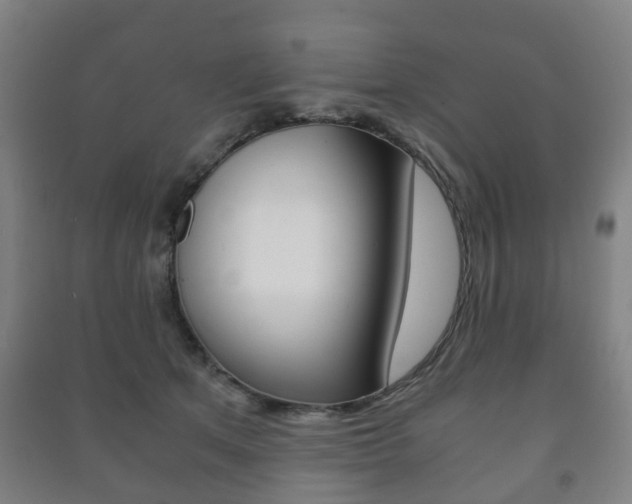 X0000091450513200708161050
