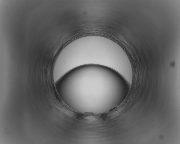X0000091450516200708161050