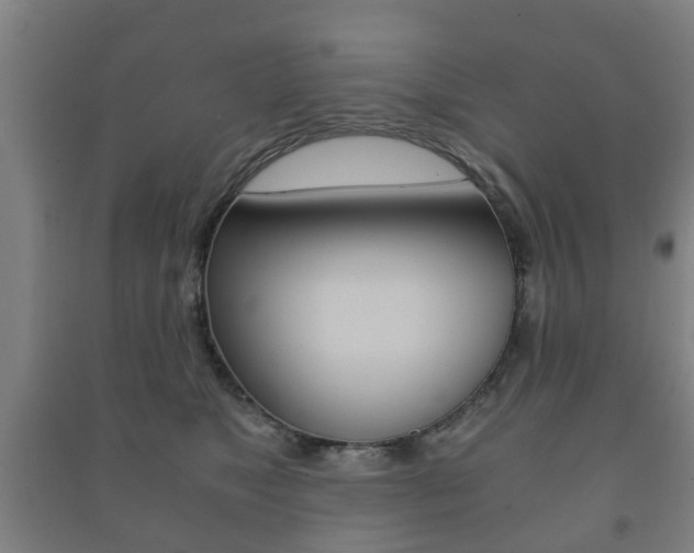 X0000091450517200708161050