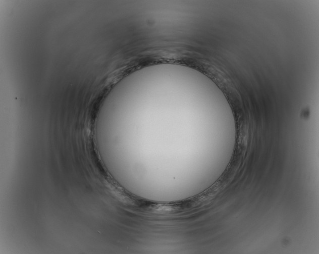 X0000091450518200708161050