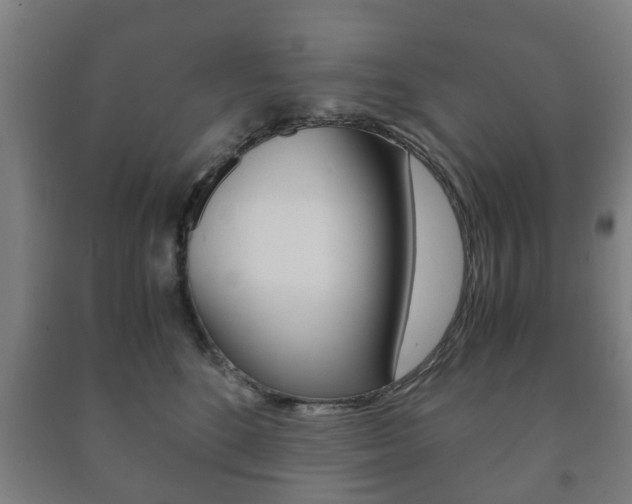 X0000091450520200708161050