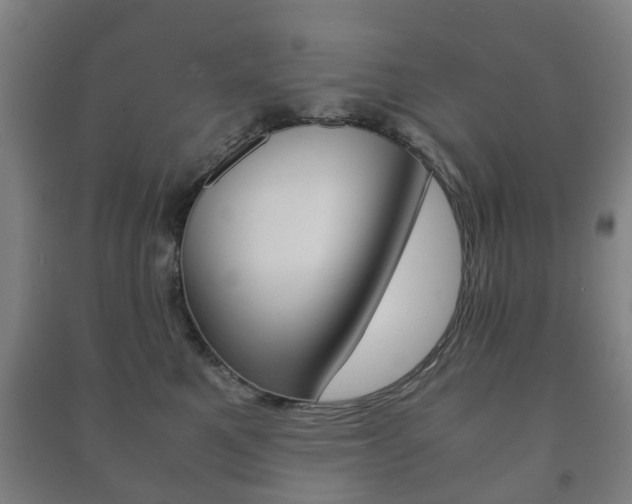X0000091450521200708161050