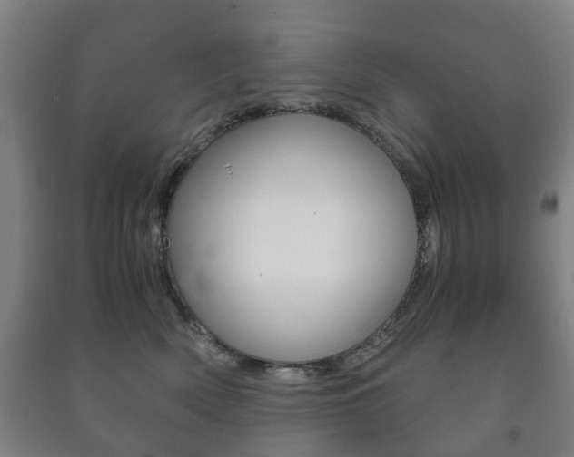 X0000091450522200708161050
