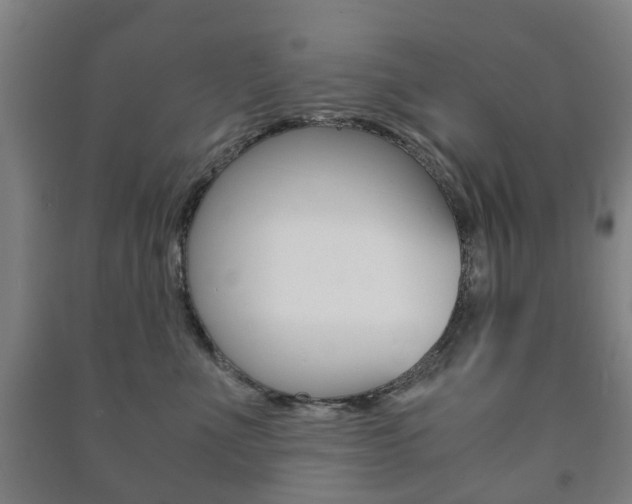 X0000091450523200708161050