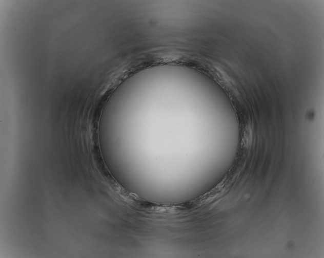 X0000091450524200708161050