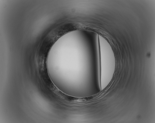 X0000091450525200708161050