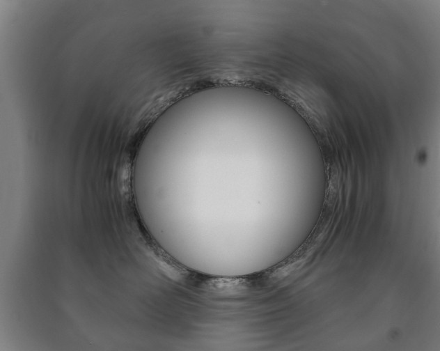 X0000091450526200708161049