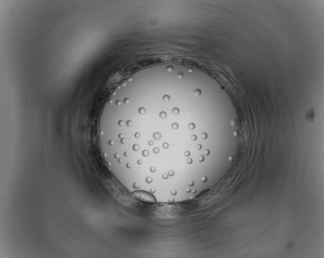 X0000091450527200708161049