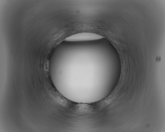 X0000091450528200708161049