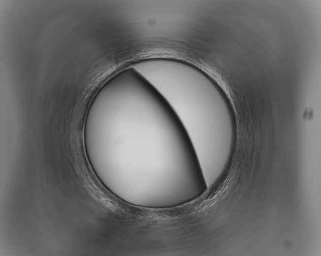 X0000091450529200708161049