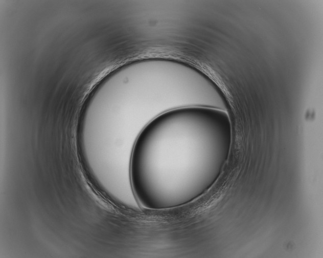 X0000091450530200708161049
