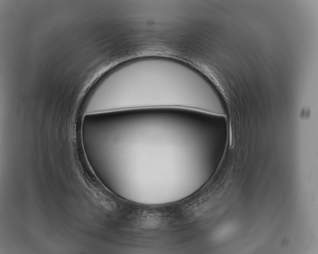 X0000091450531200708161049