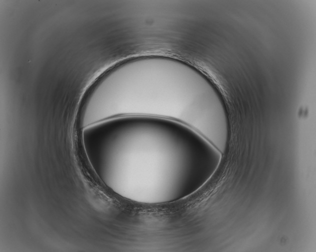 X0000091450532200708161049