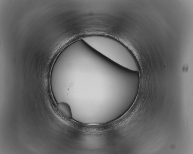 X0000091450533200708161049
