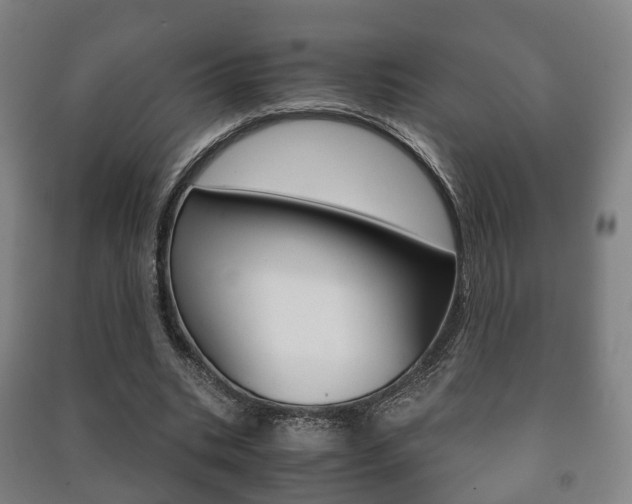 X0000091450535200708161049