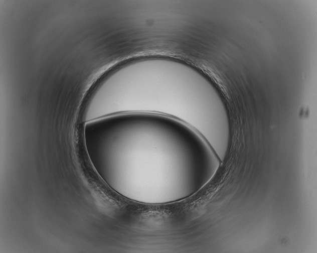 X0000091450536200708161049
