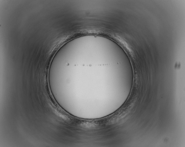 X0000091450537200708161049