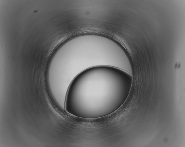 X0000091450538200708161049