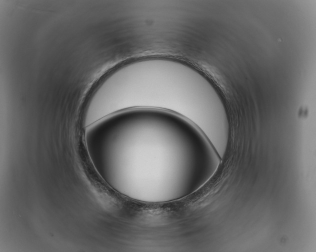 X0000091450540200708161049