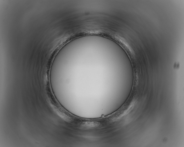 X0000091450541200708161049